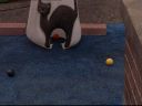 1x02-00091.jpg
