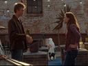 1x02-00158.jpg