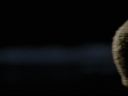 1x0400576.jpg
